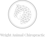 Wright Animal Chiropractic